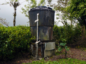 Alarge water tank provides a constant water supply to the buildings and gardens. It is filled by pump from a well in the quebrada in front of the property.